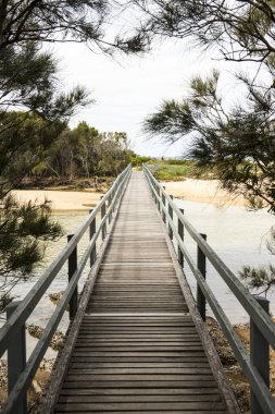 Sydney deniz manzarası görünümünü