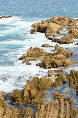 Sydney deniz manzarası görünümünü