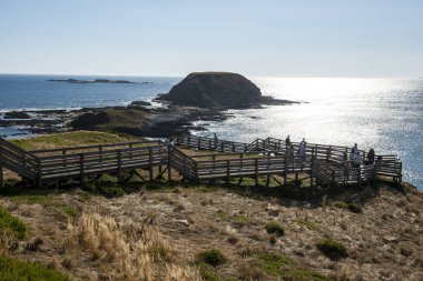 Phillip Island görünümü