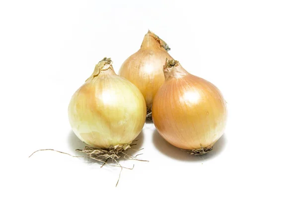 Onion on white background — Stock Photo, Image