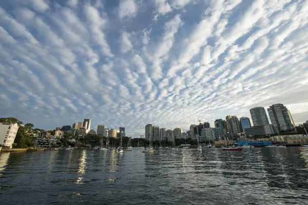 Sonnenaufgang aus der Stadt Sydney. — Stockfoto