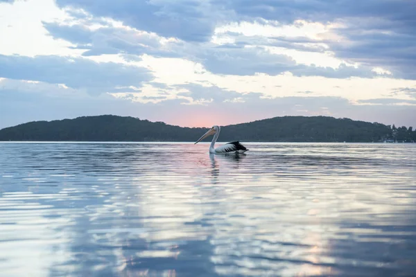 Prachtige zonsondergang vanaf het strand in de buurt van Sydney — Stockfoto