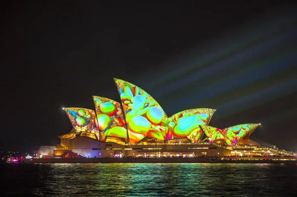 Sydney Opera House luce illuminata durante Vivid Sydney 2017 — Foto Stock