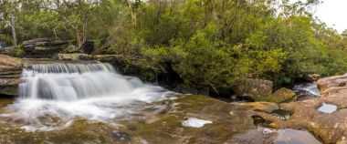 Sydney yakınındaki küçük şelaleler