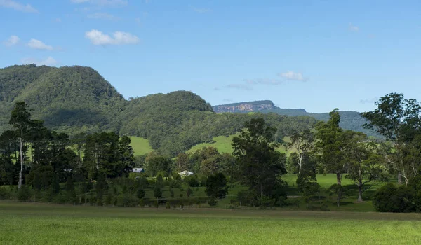 Natureza do vale do canguru nas terras altas do sul, Sydney — Fotografia de Stock