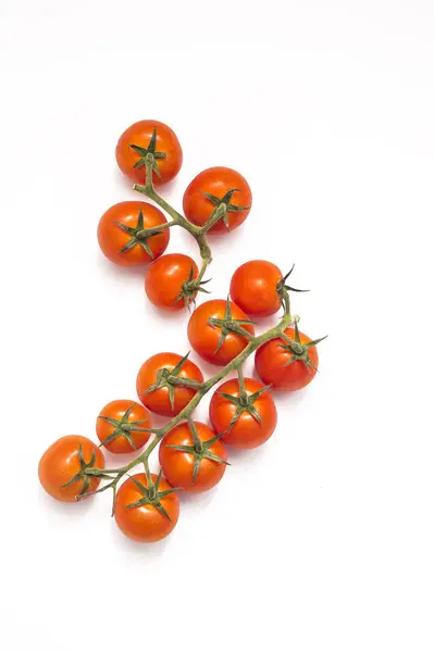 Изолированный помидор Черри — стоковое фото