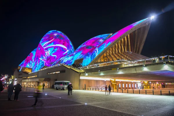 Sydney city och Sydney Opera house under Vivid Sydney 2017 — Stockfoto