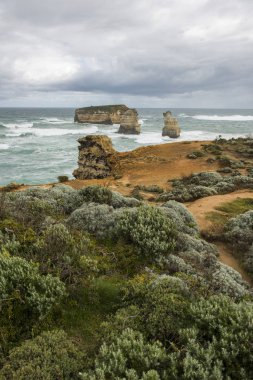 Büyük okyanus yol Ulusal Park Manzaralı