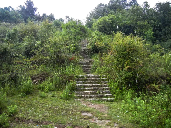 Kayalık kaldırımlı ormanın güzel manzarası