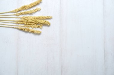 Beyaz ahşap zemin üzerinde kuru buğday demeti