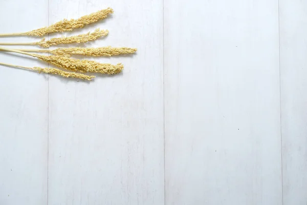 Trockener Weizenstrauß Auf Weißem Holzhintergrund — Stockfoto