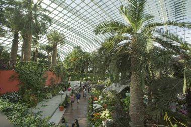 SINGAPORE - 10 Kasım 2019: Bulut Ormanı Kubbesi, Bulut, Dağ, orkideler, eğrelti otları ve bromeliadlarla kaplı ve dünyanın en büyük kapalı şelalesini içeren, körfez yakınlarındaki Gardens 'ta.