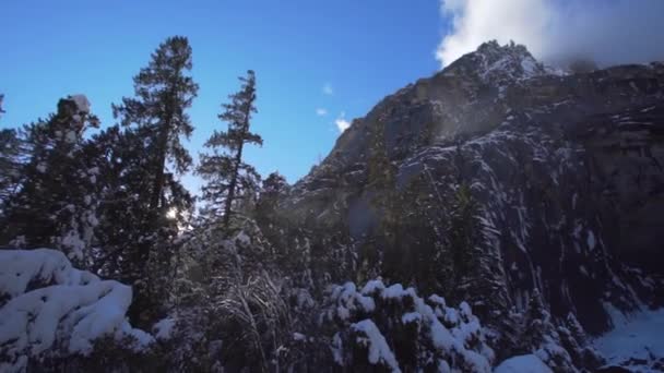 Underbara Yosemite Vattenfall Med Höga Vintergröna Träd Vintern Ser Mycket — Stockvideo