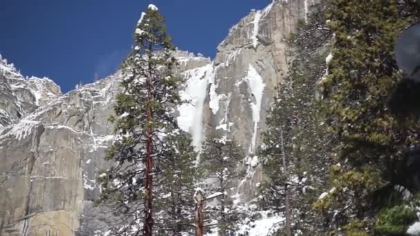 Meravigliose Cascate Yosemite Con Gli Alti Alberi Sempreverdi Inverno Sembrano — Video Stock