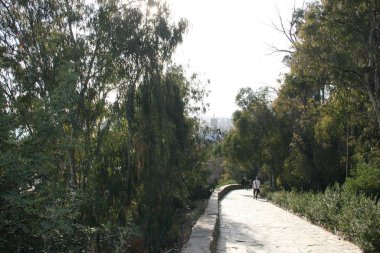 Endülüs 'teki Doğa Şehri, parlak