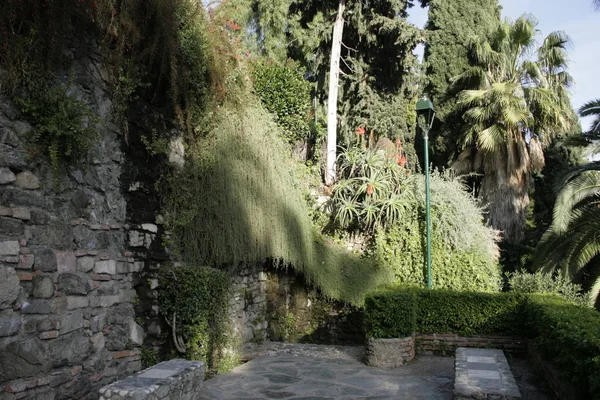 Endülüs 'teki Doğa Şehri, parlak