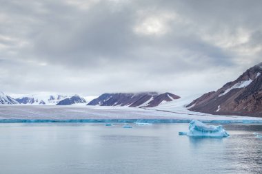 Kanada 'nın Nunavut bölgesindeki Qikiqtaaluk Bölgesi' nin bir parçası olan Ellesmere Adası 'ndaki bir buzulun kenarı..