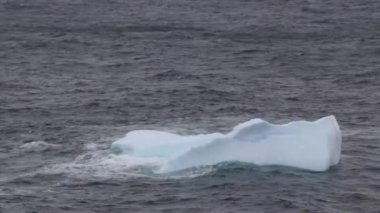  Grönland 'ın kıyı adası Skjoldungen fiyordunda yüzen buzdağı..