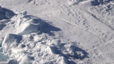  Kuzey Kanada 'daki kutup buz kütlesi.