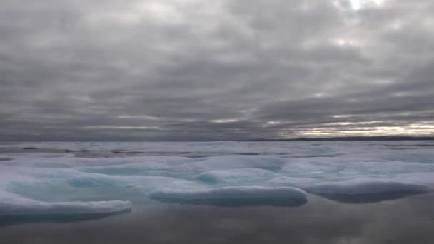 Glacier lagoon and icebergs on Peel Sound, Northwest Passage, Canada. — Stock Video