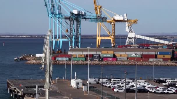 Panning of the cranes and containers at the port of Adelaide, Australia. — Stock Video