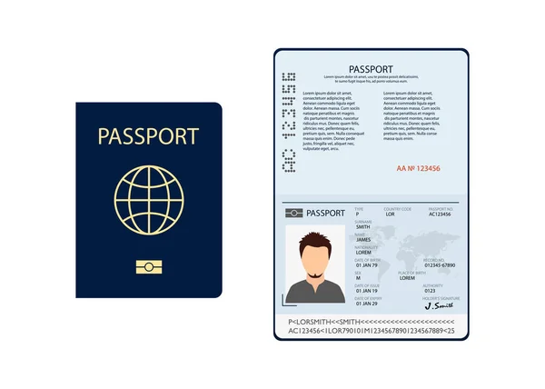 Documentos de pasaporte biométricos en estilo plano, vector — Vector de stock