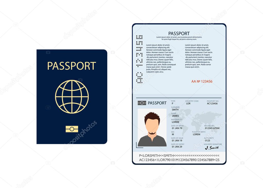 biometric passport documents in flat style, vector
