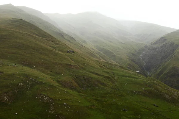 Immagine di altopiani verdi paesaggio con cielo nebbioso Foto Stock Royalty Free