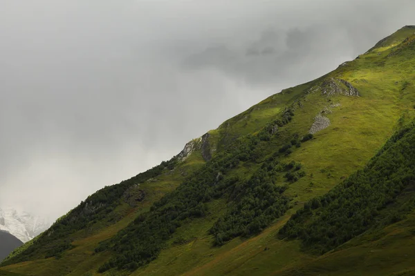 Immagine di altopiani verdi paesaggio con nuvole grigie Immagine Stock