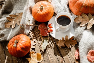 Kahveli güzel sonbahar kompozisyonu. Kırsal bir arka planda sonbahar yaprakları ve balkabakları. Sonbahar mevsimi konsepti