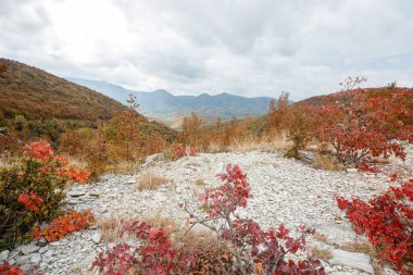 Dağlardaki renkli sonbahar manzarası