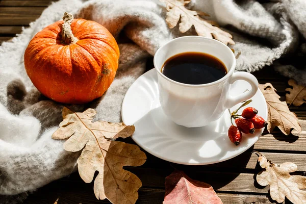 Schöne Herbstkomposition mit Kaffee. Herbstblätter und Kürbisse vor rustikalem Baumhintergrund. das Konzept der Herbstsaison — Stockfoto