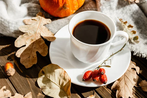 Schöne Herbstkomposition mit Kaffee. Herbstblätter und Kürbisse vor rustikalem Baumhintergrund. das Konzept der Herbstsaison — Stockfoto