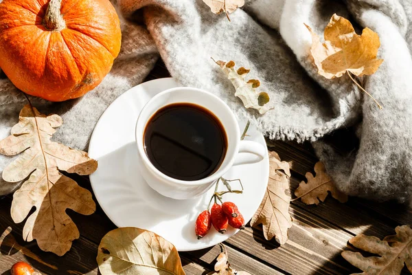 Beautiful autumn composition with coffee. autumn leaves and pumpkins on a rustic tree background. the concept of the fall season — Stock Photo, Image