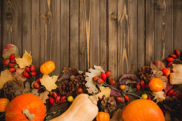 Harvest or Thanksgiving background with autumnal fruits and gourds on rustic wooden table — Stock Photo, Image