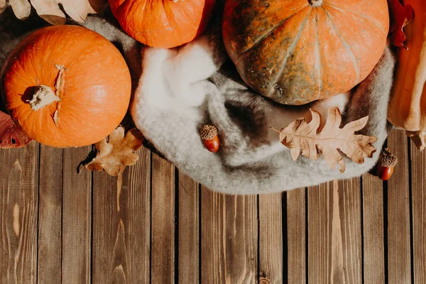 Autumn background with pumpkins and colored leaves on wooden board — Stock Photo, Image