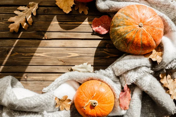 Autumn background with pumpkins and colored leaves on wooden board — Stock Photo, Image