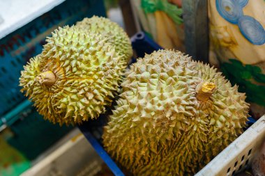 Durian Meyve Kralı. Durian pazarında bir grup taze Durian. Tayland pazarında Durian 'ın dokusu.
