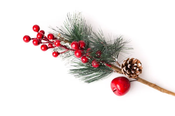 Beyaz arkaplanda izole edilmiş köknar dalı