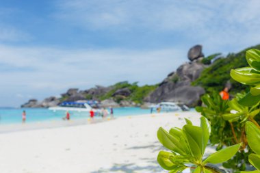 Similan Adası, Andaman Denizi, Phuket, Tayland