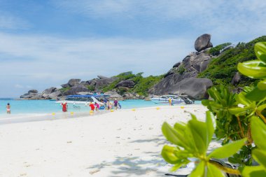 Similan Adası, Andaman Denizi, Phuket, Tayland