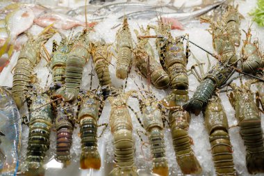 Tayland pazarında buzlu dondurucuda taze deniz ürünleri. Buzdaki karides