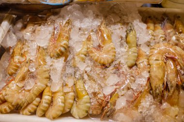 Tayland pazarında buzlu dondurucuda taze deniz ürünleri. Buzdaki karides