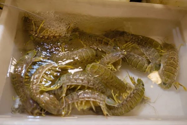 Fresh seafood in the night Thailand market. Asian food — 스톡 사진