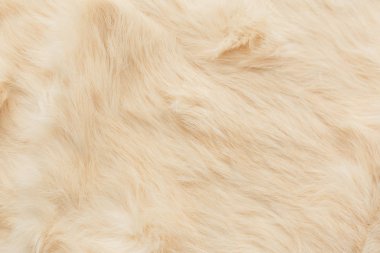 kahverengi tavşan kürk Doku, hayvan derisi arka plan