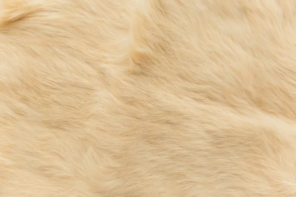 Pele de coelho bege Textura, fundo de pele animal — Fotografia de Stock