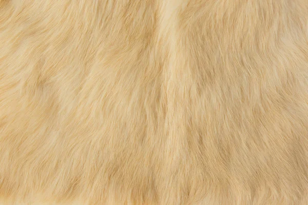 Pelo di coniglio beige Texture, sfondo pelle animale — Foto Stock