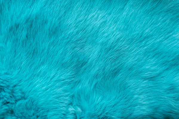 Niebieskie futro królika tekstura, tło skóry zwierzęcia — Zdjęcie stockowe