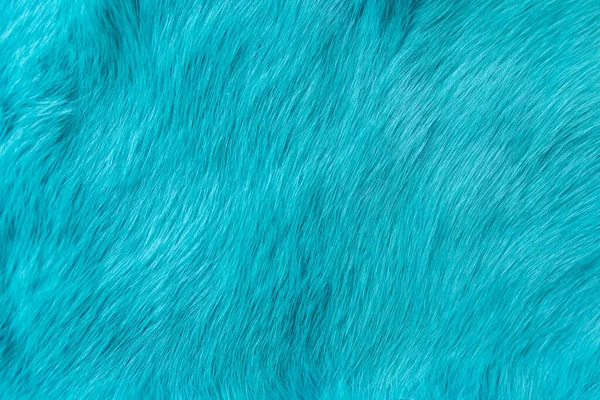 Piel de conejo azul Textura, piel de animal fondo — Foto de Stock