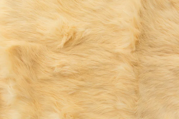 Könnyű nyúl prém textúra, állati bőr háttér Stock Kép